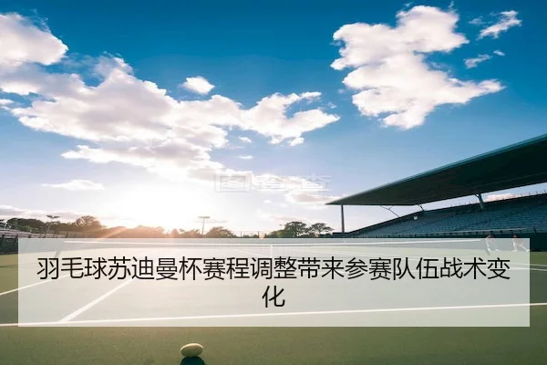 羽毛球苏迪曼杯赛程调整带来参赛队伍战术变化（Kaiyun）